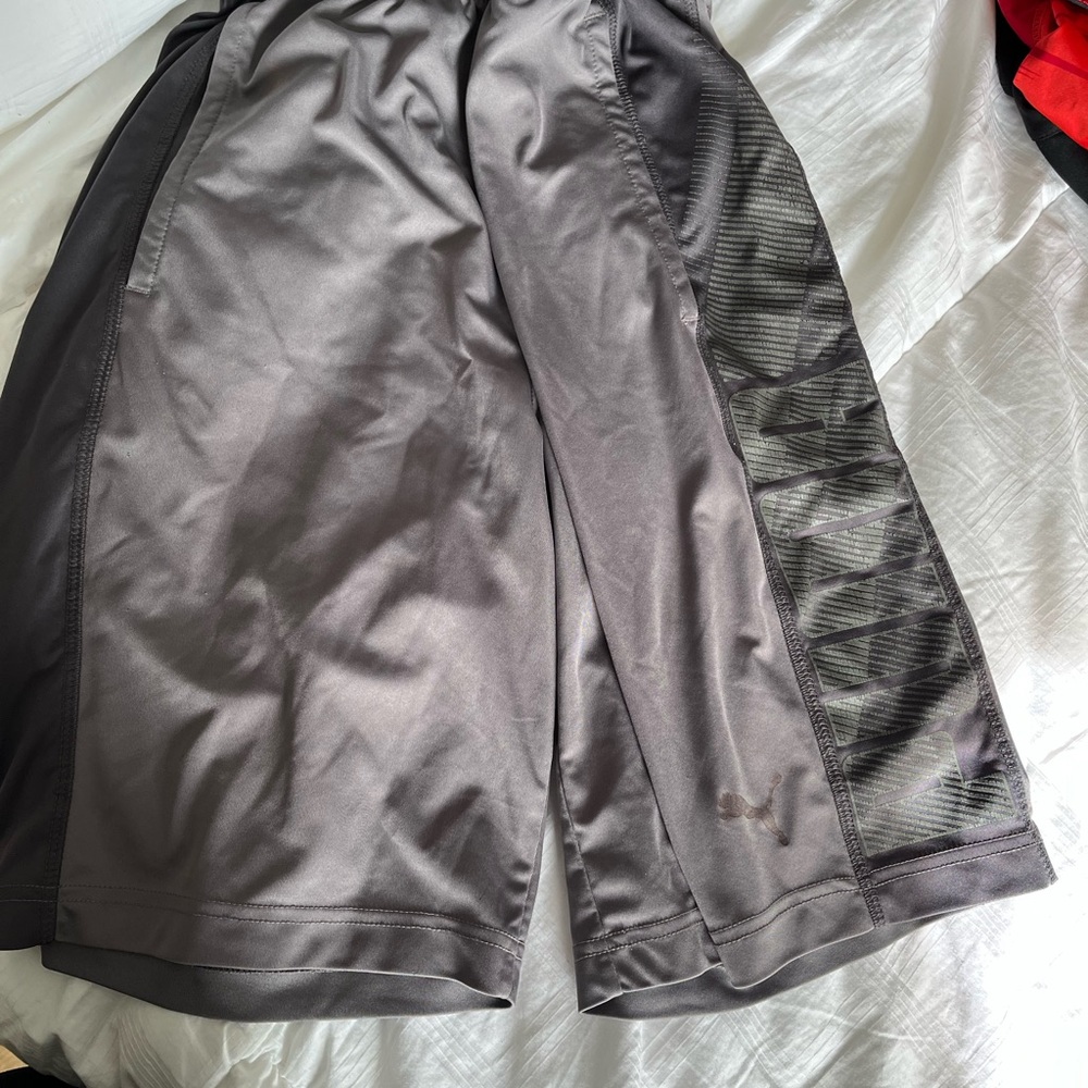 Puma Kids Gray Shorts